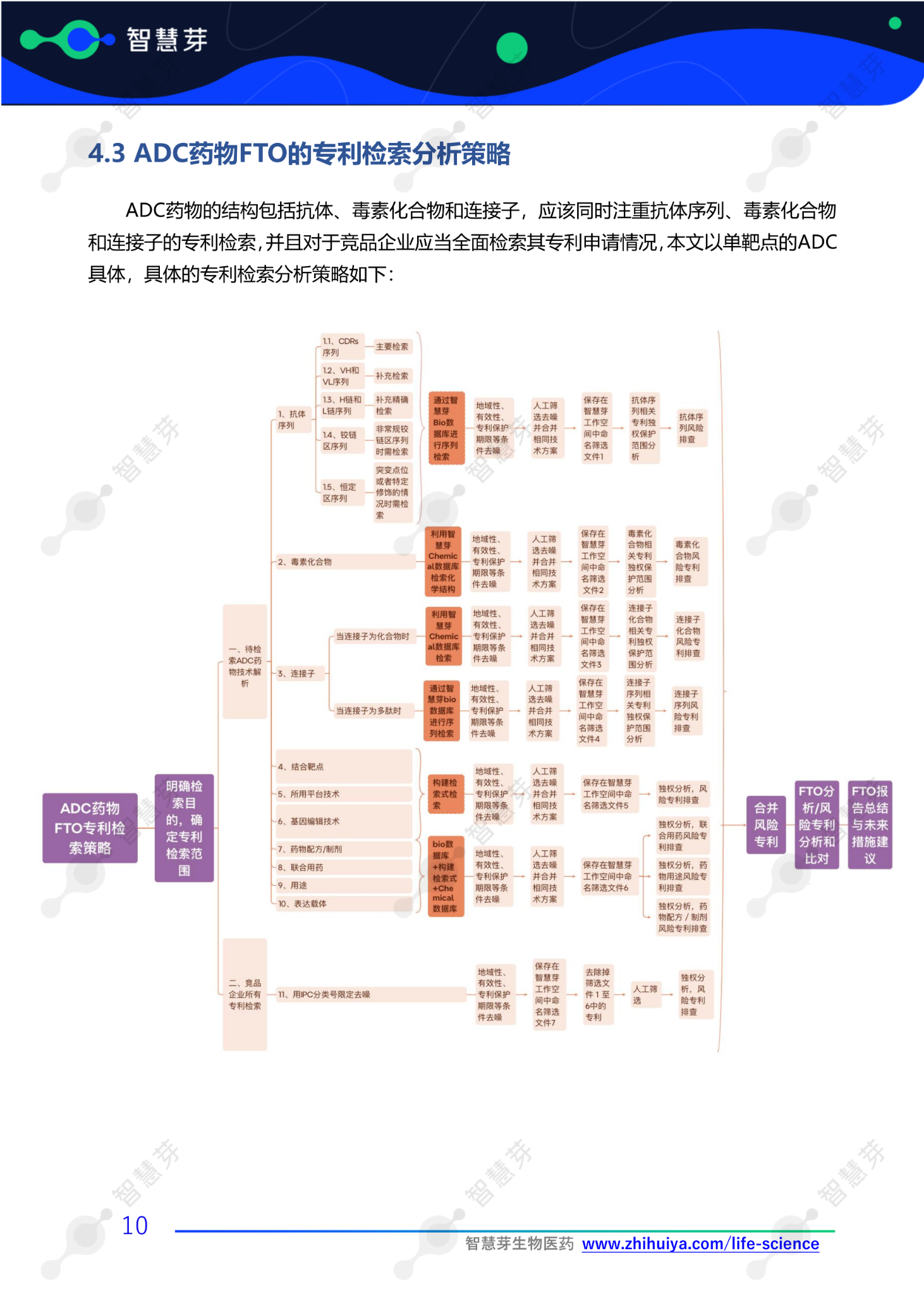 1728378331567919.png 抗体类药物FTO报告撰写操作手册_12(1) (1).png